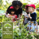 The Benefits & Importance of Nature to Children in Early Childhood