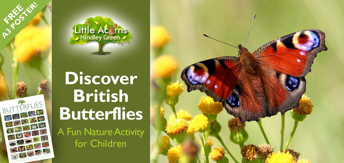 Discover British Butterflies: A Fun Nature Activity for Children