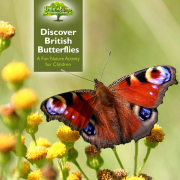 Discover British Butterflies: A Fun Nature Activity for Children