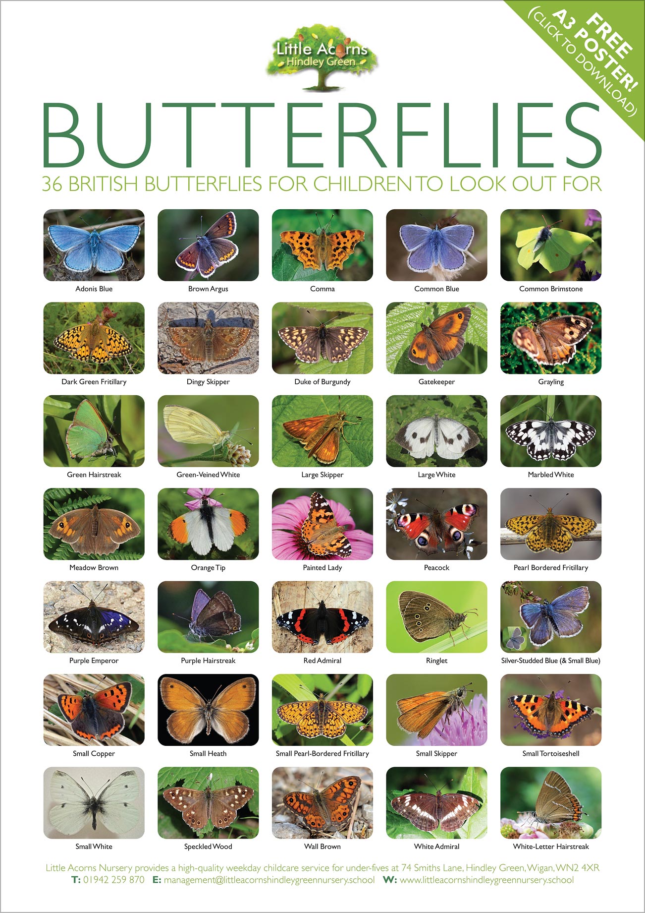 Free A3 British Butterflies poster to download or print.