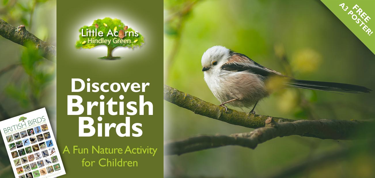 Discover British Birds – A Fun Nature Activity for Children