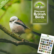 Discover British Birds – A Fun Nature Activity for Children
