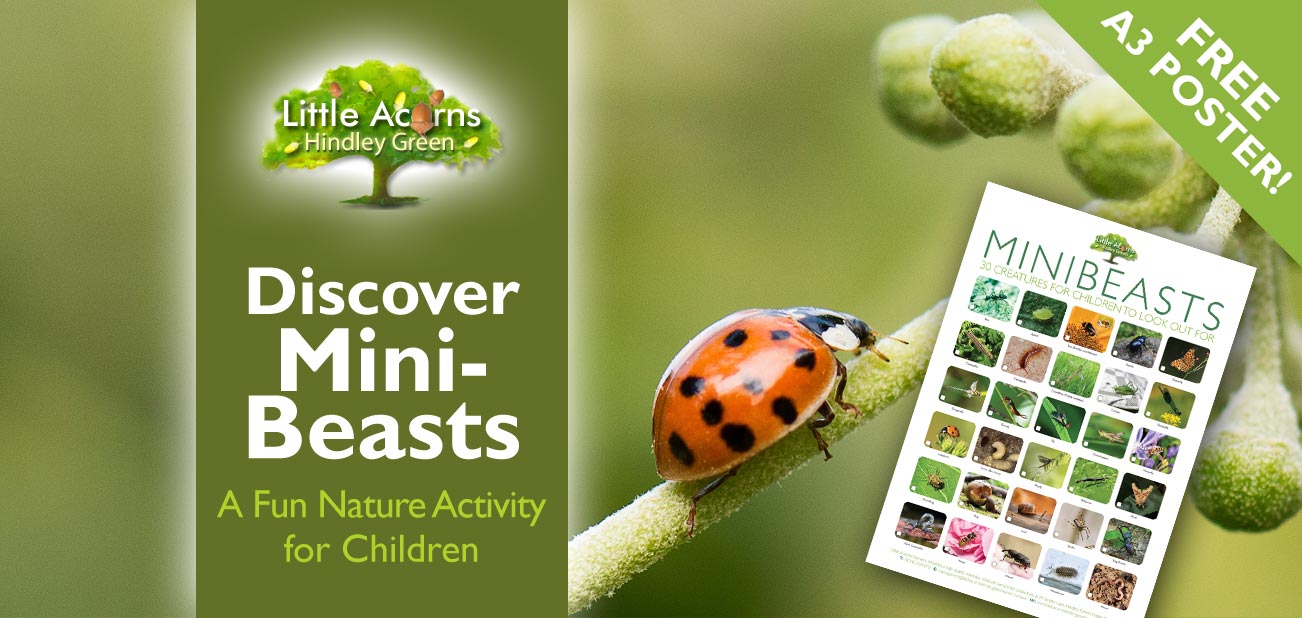 Discover Minibeasts – A Fun Nature-Based Activity for Children