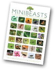 Today's activity comes with a free A3 poster that families can download to help identify 30 types of creature.