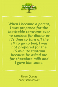 Amusing anecdote about the trials of parenthood