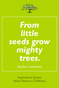 A metaphorical quotation about nature, applicable to children.