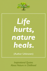A quote about nature healing.