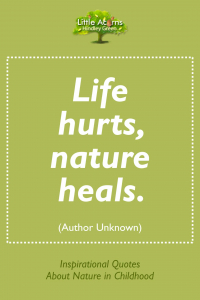 A quote about nature healing.
