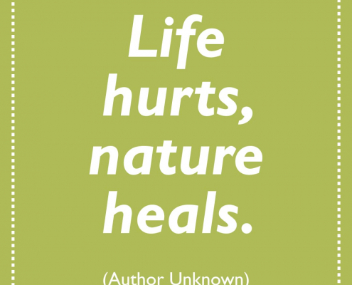 A quote about nature healing.
