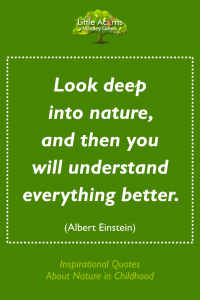 An inspirational quote from Albert Einstein about nature.