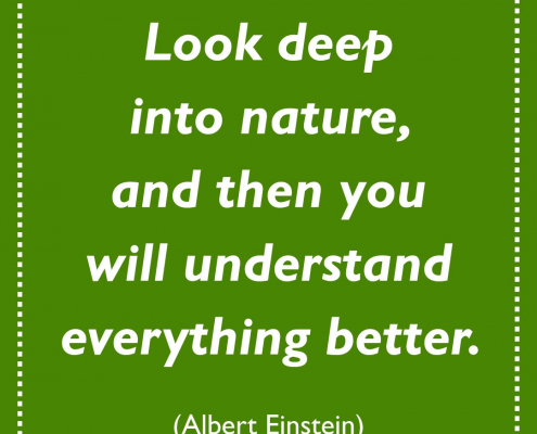 An inspirational quote from Albert Einstein about nature.