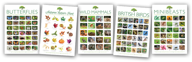 A series of free nature activity posters for children