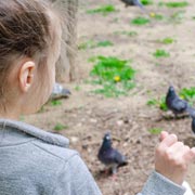 The Big Garden Birdwatch takes just one hour and allows families to be part of the world's biggest garden wildlife survey.