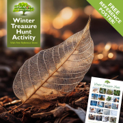 Winter Treasure Hunt Activity (With Free Reference Poster)
