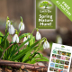 Let's Go on a Spring Nature Hunt – With Free Reference Poster!