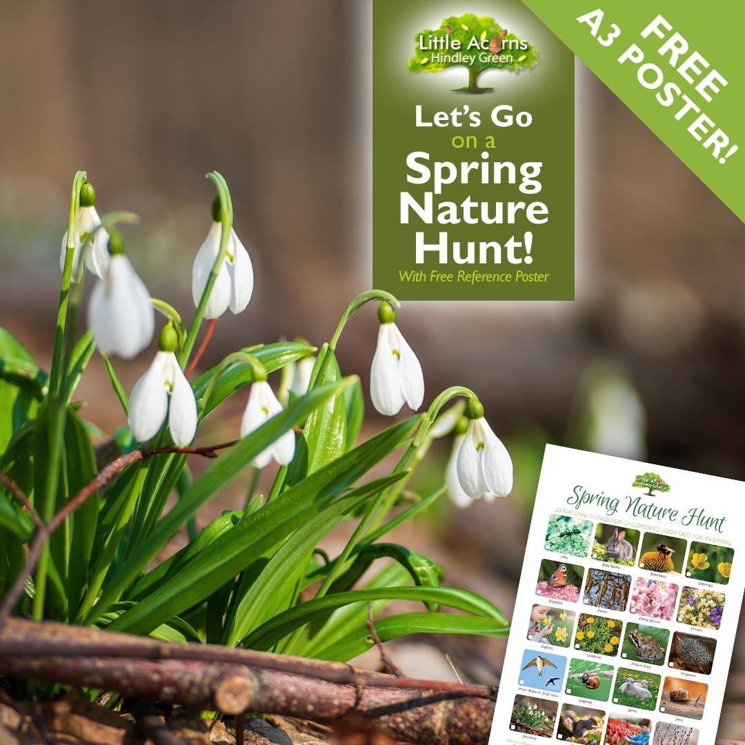 Let's Go on a Spring Nature Hunt – With Free Reference Poster!