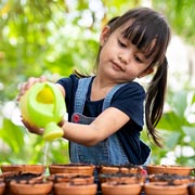 Children need to check seeds every day, keep them watered, and thin them out once they're growing.