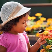 Families need to choose bee-friendly or pollinator-friendly seeds and flowers for this activity.