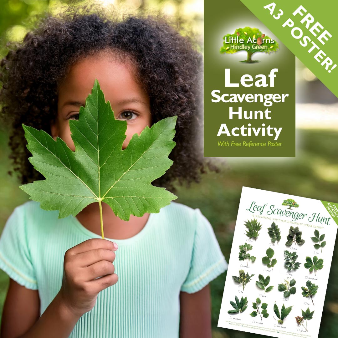 Leaf Scavenger Hunt Activity for Kids (With Free Reference Poster!)