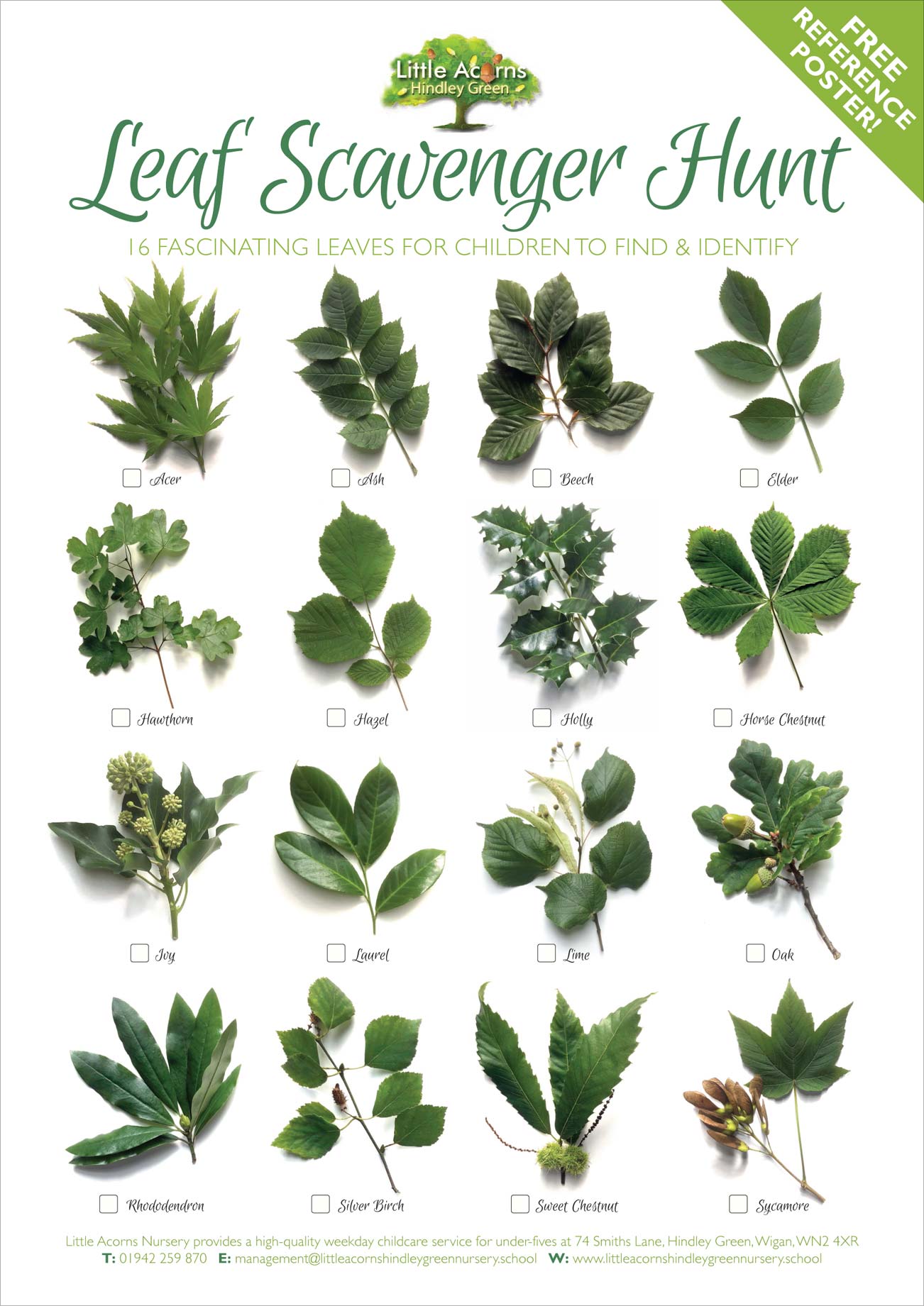 Leaf Scavenger Hunt activity poster (PDF, 2MB)
