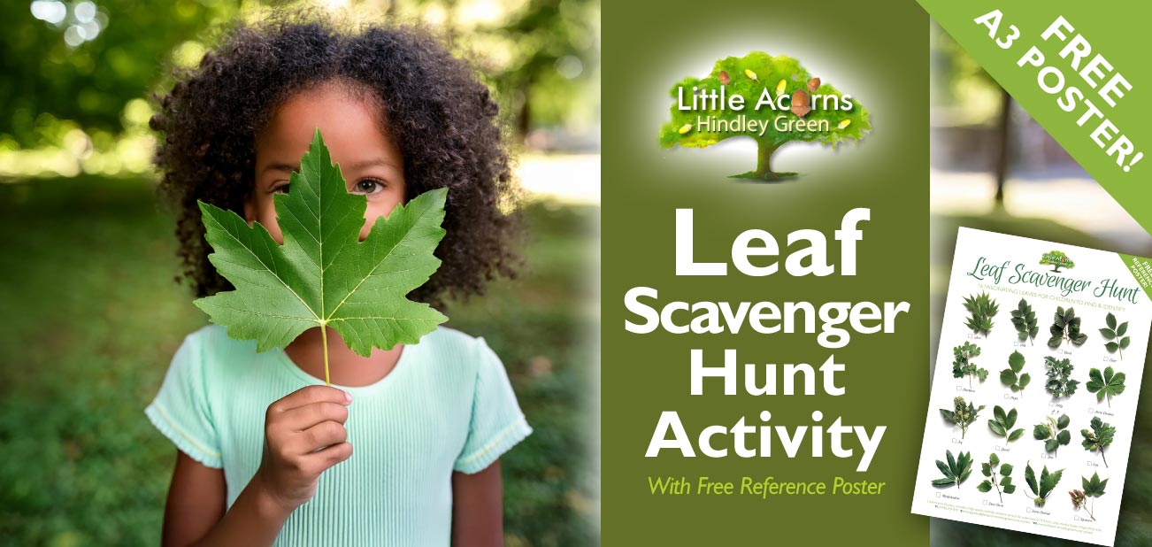 Leaf Scavenger Hunt Activity for Children (With Free Reference Poster!)