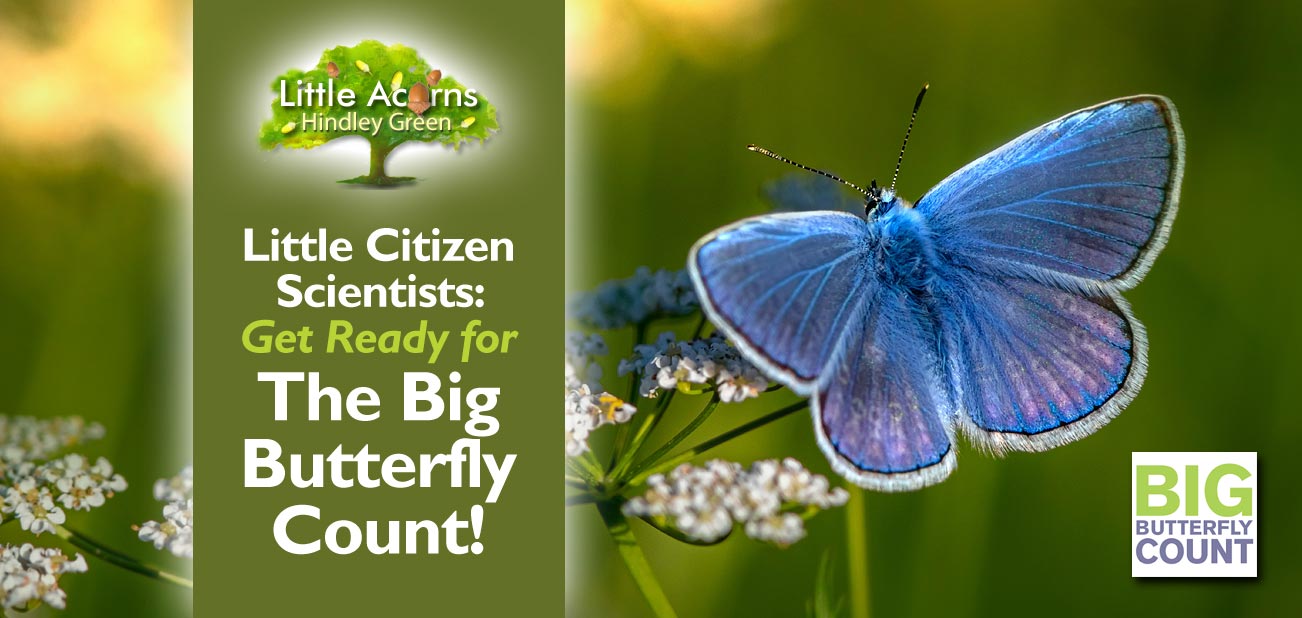Little Citizen Scientists: Get Ready for The Big Butterfly Count!