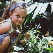 People of all ages are needed this July and August for the world's biggest wildlife survey — the Big Butterfly Count.