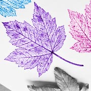 Leaf printing is super-easy and fun for children.