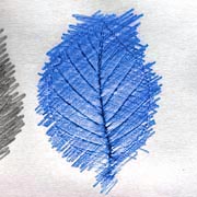 Leaf rubbing is a simple yet effective art activity involving leaves.