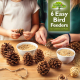 6 Easy Bird Feeders for Children to Make
