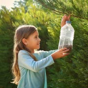 By filling bird feeders with bird seed, children can give birds a regular food source over colder months when nature's food sources are depleted.