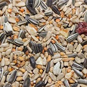There are lots of different seed mixes out there and each will attract a different range of birds.
