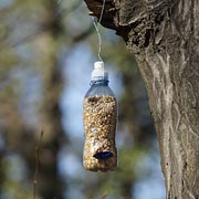 Plastic water bottle bird feeder with spoon for birds to land on.