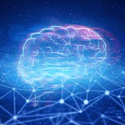 Babies' brains double in size in the first year and triple in size by the time children are 5.