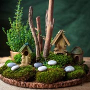 Example of a magical fairy garden/mini garden.