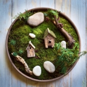Example of a magical fairy garden/mini garden.