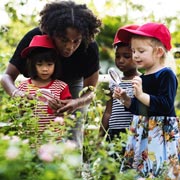 Forest School arrived in the UK in the early 1990s.