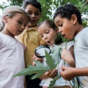 Forest School is not so much a place, destination, or static centre of learning as it is a child-centred philosophy and learning process.