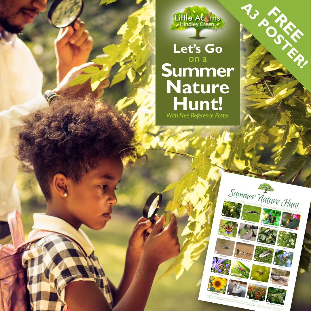 Let’s Go on a Summer Nature Hunt – With a Free Reference Poster!