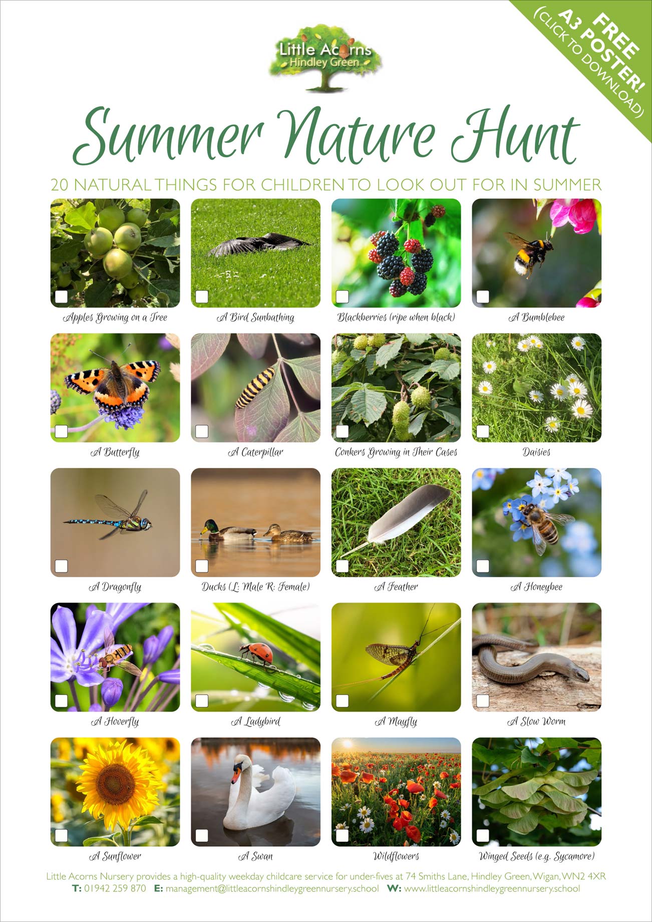 Summer Nature Hunt poster (preview – click to download or view a high-resolution Acrobat PDF version). Summer Nature Hunt poster (preview – click to download or view a high-resolution Acrobat PDF version).