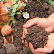 The composting process will result in a rich, crumbly, earth-like compost that’s dark brown in colour. This is packed full of natural goodness that plants will love. 