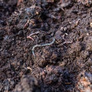 Biodegrading is a natural process that is helped by the bacteria, worms, and little bugs that inhabit the mixture. 