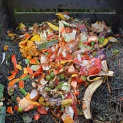 Children can compost a variety of materials that would otherwise have gone to waste. 